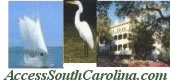 Link to AccessSouthCarolina.com